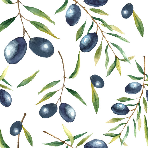 Watercolor olive branch background.