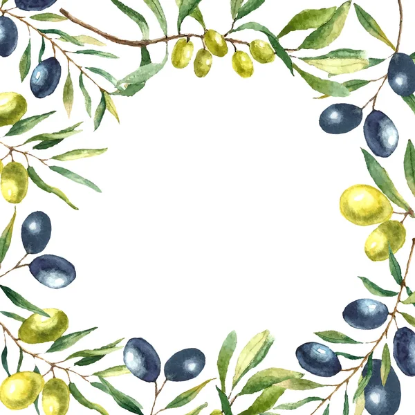 Watercolor olive branch background. — Wektor stockowy