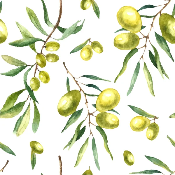 Watercolor olive branch background. — Wektor stockowy