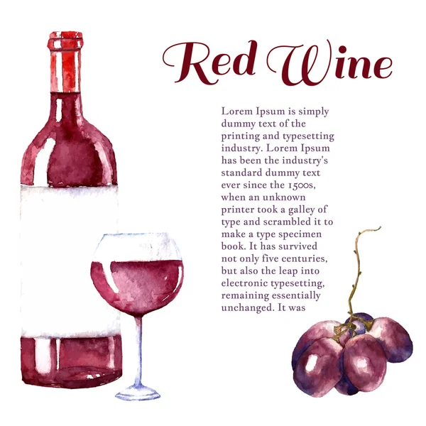 Elementos de design de vinho aquarela . — Vetor de Stock