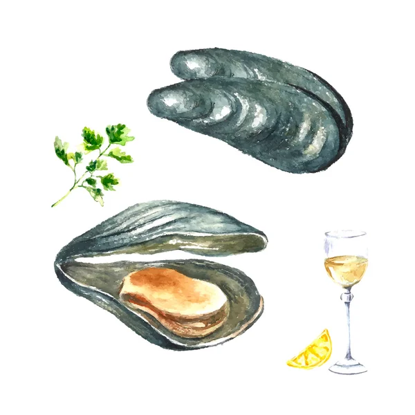 Mejillones acuarela . — Foto de Stock