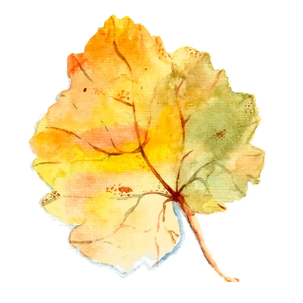 Feuille aquarelle . — Image vectorielle