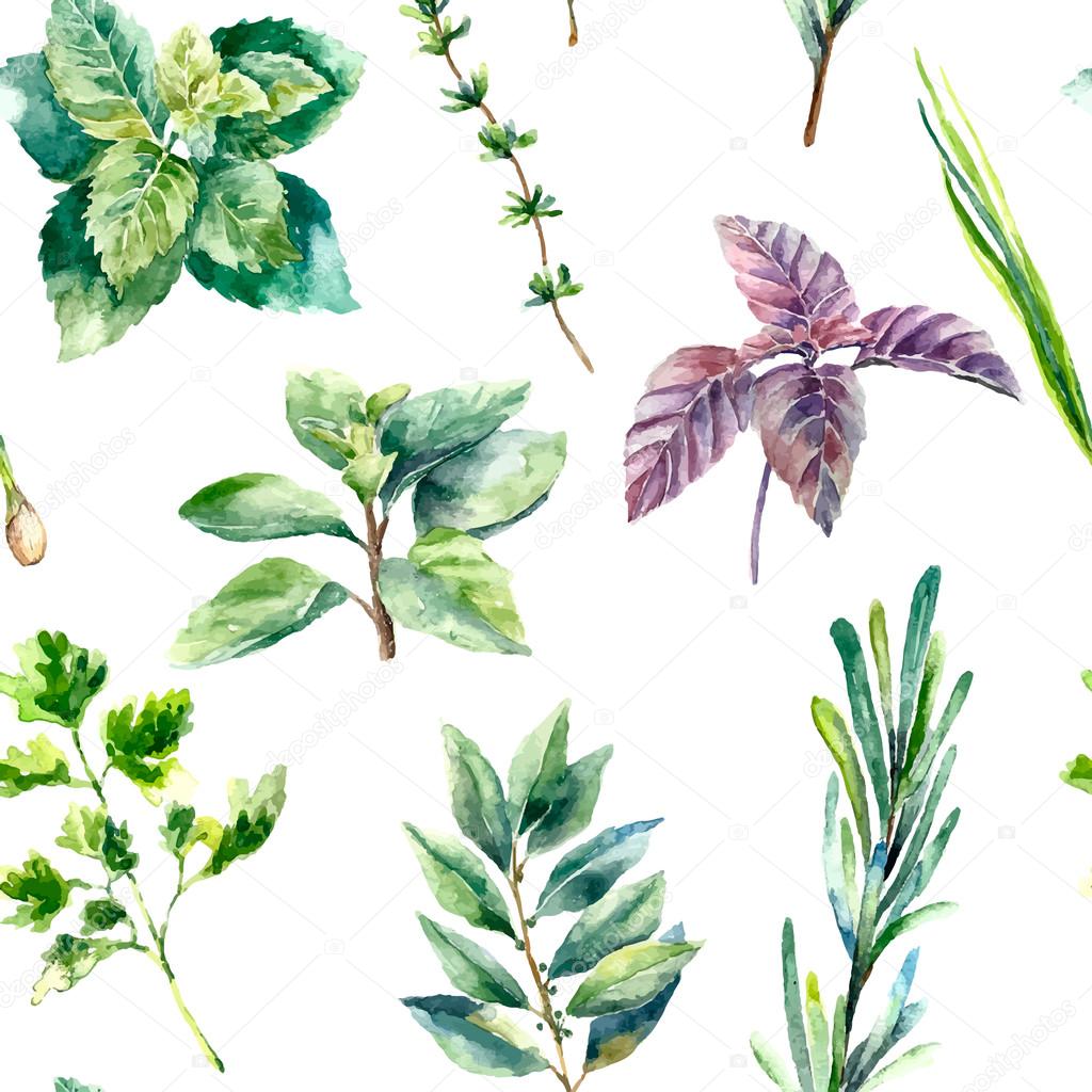 Watercolor seamless pattern of fresh herbs and spices isolated.