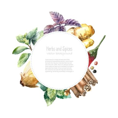 Watercolor collection of fresh herbs and spices isolated.