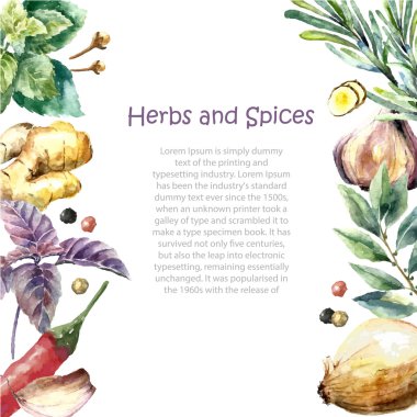 Watercolor collection of fresh herbs and spices isolated.