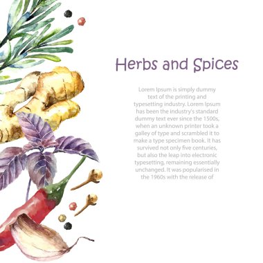 Watercolor collection of fresh herbs and spices isolated.