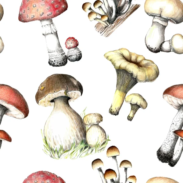 Hand drawn pencil painting seamless pattern mushrooms. — ストックベクタ