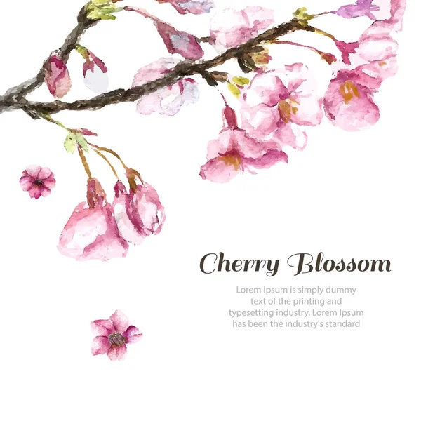 Hand Drawn Cherry Blossoms. — Stock vektor