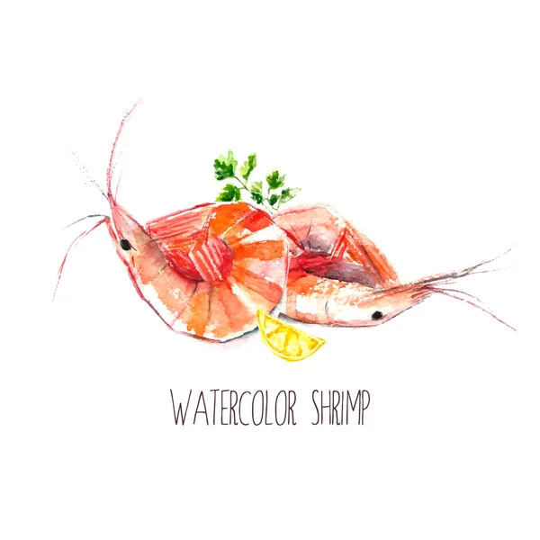 Watercolor shrimps. — ストックベクタ