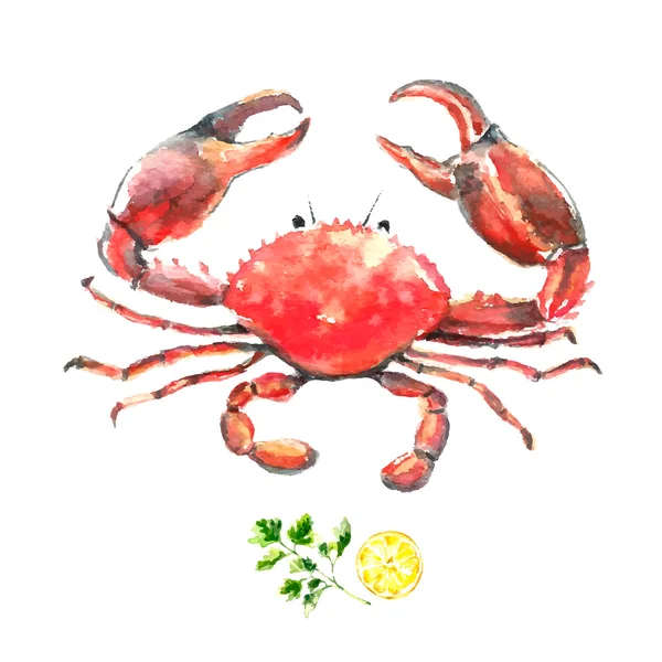 Watercolor crab. — Stock Vector