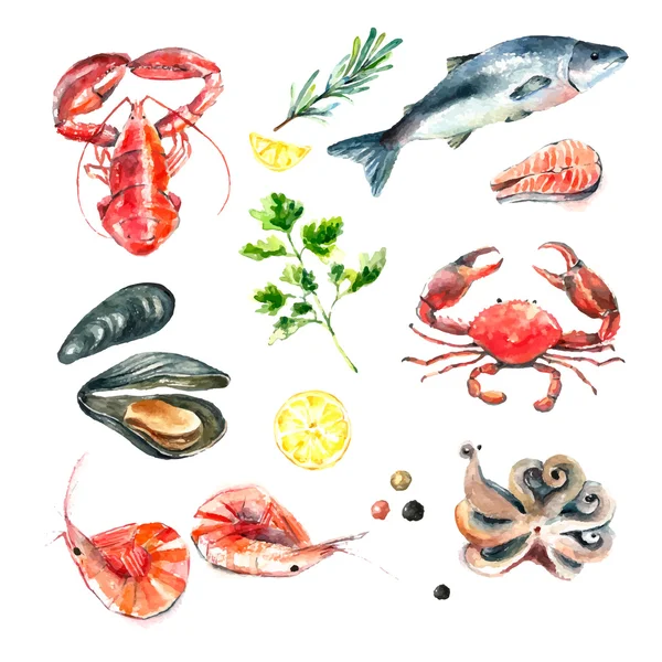 Set of seafood watercolor. — Stok Vektör