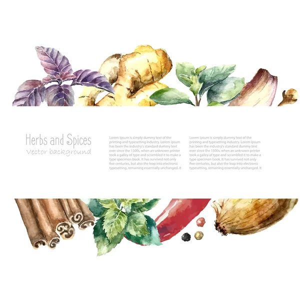 Watercolor collection of fresh herbs and spices isolated. — Stok Vektör