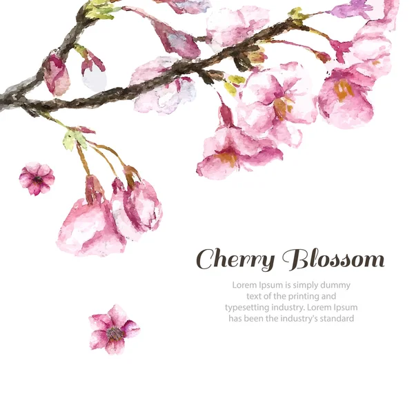 Flores de cerezo dibujadas a mano . Ilustración De Stock