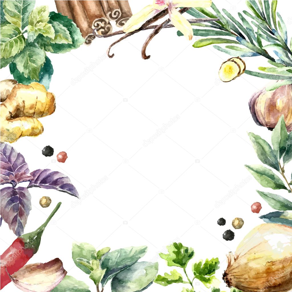 Watercolor collection of fresh herbs and spices isolated.