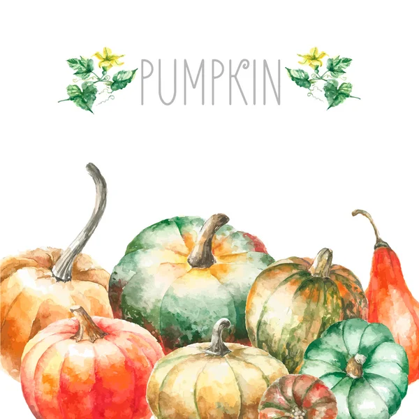 Aquarel pompoen. — Stockvector