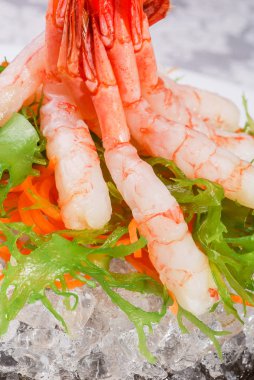 sashimi kaplan karides