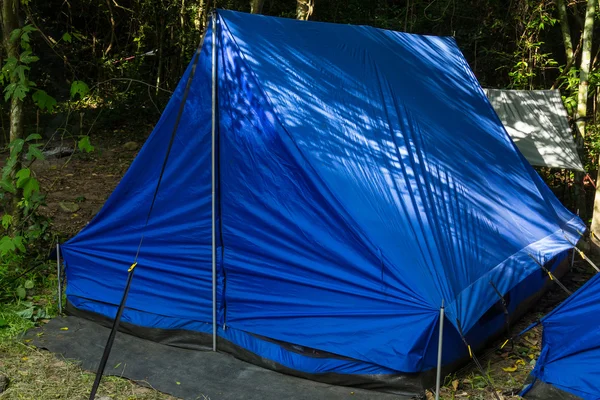Camping i en skog – stockfoto