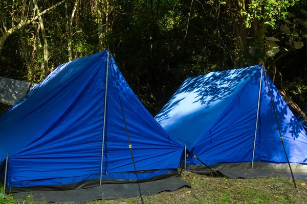 Camping in een forest — Stockfoto
