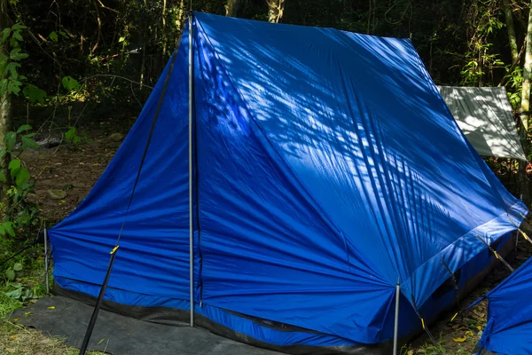 Camping in een forest — Stockfoto