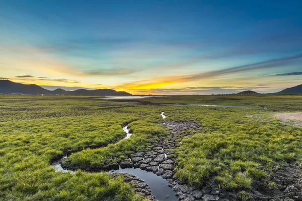 Lack of water in reservoir fields — Stock Photo, Image