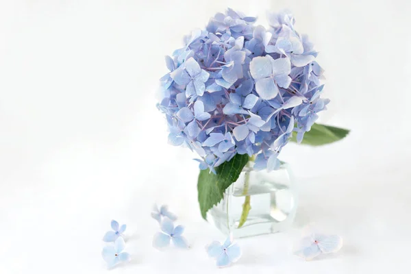 Flores caídas fotos de stock, imágenes de Flores caídas sin royalties | Depositphotos Flores caídas fotos de stock, imágenes de Flores caídas sin royalties | Depositphotos
