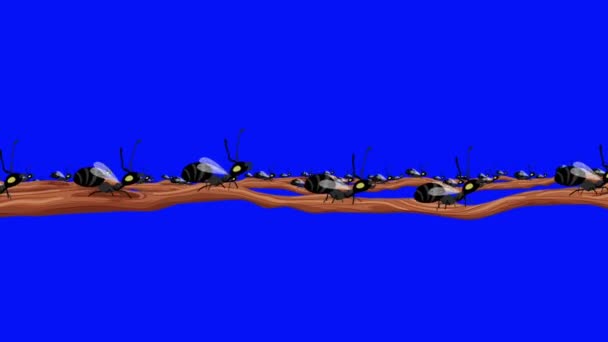 Bir Sürü Kanatlı Karınca Mavi Ekrandaki Kusursuz Döngü Dalında — Stok video