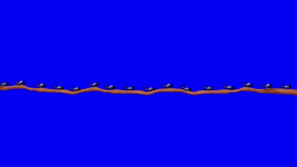 Pequenas Formigas Com Asas Uma Filial Loop Sem Costura Uma — Vídeo de Stock