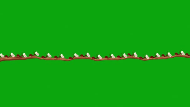 Små Myror Bär Larvas Gren Sömlös Loop Grön Skärm — Stockvideo