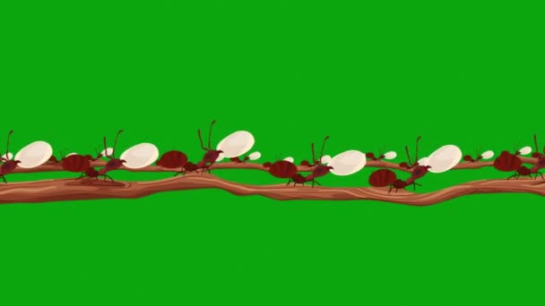  Viele braune Ameisen tragen Eier auf einem Zweig in nahtloser Schleife grünen Bildschirm