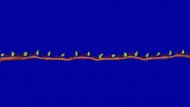 Pequenas Formigas Cortadoras Folhas Transportando Folhas Uma Filial Tela Azul — Vídeo de Stock