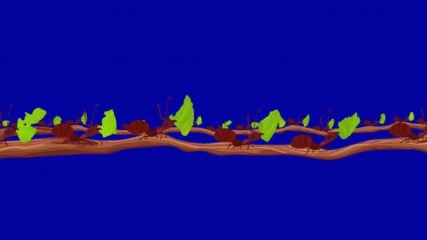 Veel Leafcutter Mieren Dragen Bladeren Een Tak Naadloze Lus Blauw — Stockvideo