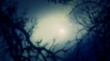 Geceleri korkutucu Treetop ve sis Moon ile ilgilenen