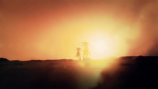 Оазис пальм посреди пустыни — стоковое видео