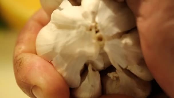 Quebra de mão e Crumbling alho cravo — Vídeo de Stock