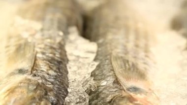 Satır bir pazarda buzda balık