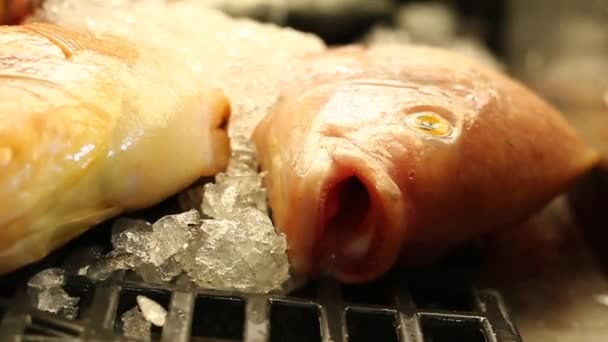 Naranja pescado muerto sobre hielo en una tienda de pescado — Vídeo de stock