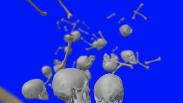 スローモーションで落ちる人間の骨 — ストック動画
