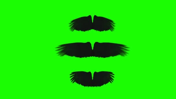 Black Wings bewegende snel op een groen schermachtergrond — Stockvideo