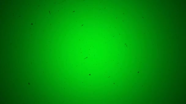 Scratched Old Vintage Film Look on a Green Screen Background — Stock Video