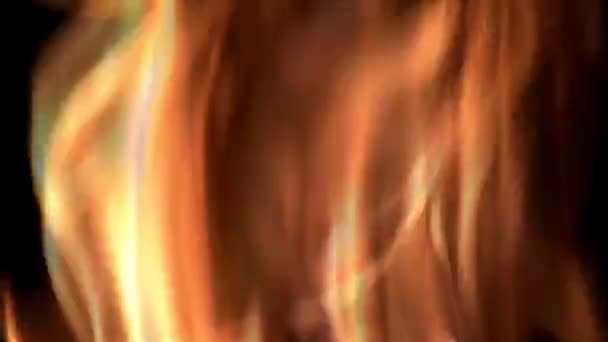 화재 및 불길 근접 촬영 — 비디오