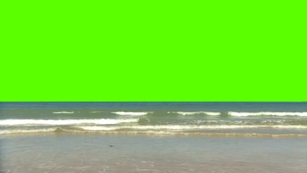 Mar e costa com ondas em um fundo de tela verde — Vídeo de Stock