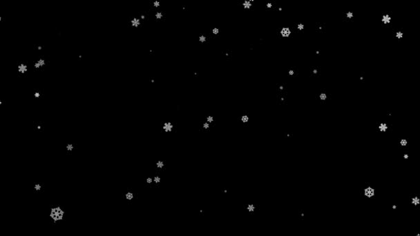 Fiocchi di neve animati Caduta su sfondo nero Animazione — Video Stock