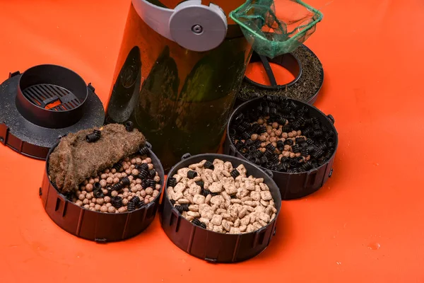 Akvaryum filtresi, filtre temizliği. Bakteriler