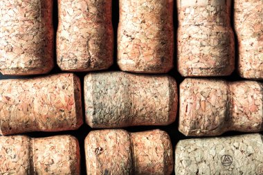 Beyaz bir arka plan üzerinde izole şarap cork