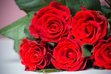 doğal kırmızı gül