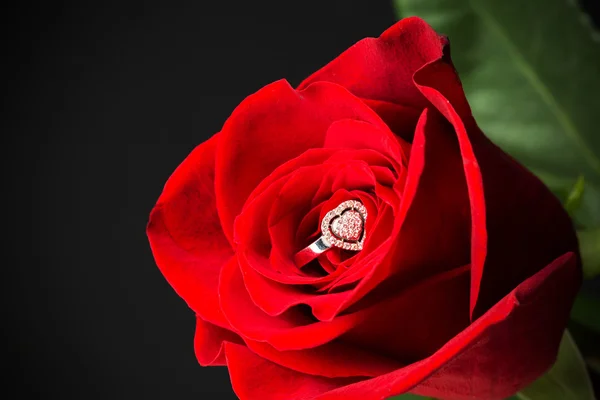 Κόκκινο τριαντάφυλλο με ένα δαχτυλίδι με κοσμήματα. — Φωτογραφία Αρχείου