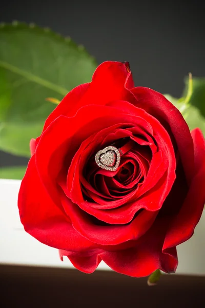 Rote Rose mit einem Ring mit Juwelen. — Stockfoto