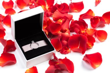 Beyaz arka plan gül yaprakları.