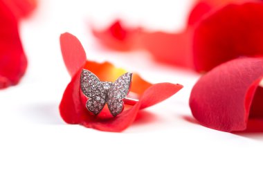 Beyaz arka plan gül yaprakları.