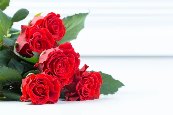자연적인 빨간 장미 — 스톡 사진